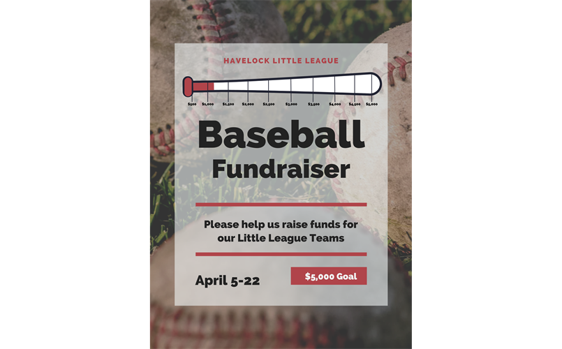 League Fundraiser