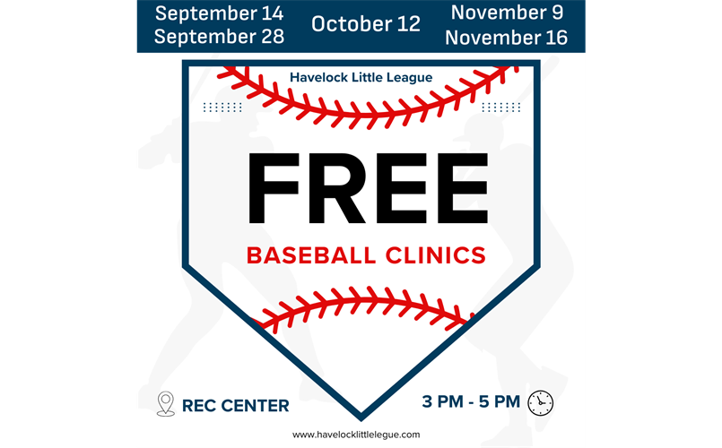 Free Baseball Clinics